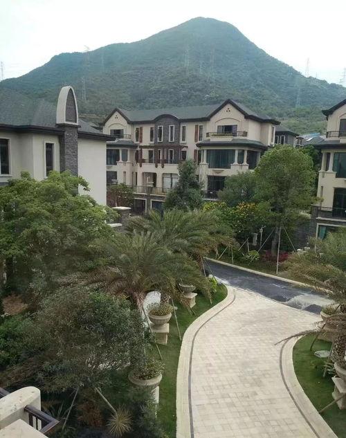 小鲁班最新爆料视频网页,揭秘视频网页背后的精彩内容 第3张 小鲁班最新爆料视频网页,揭秘视频网页背后的精彩内容 第3张